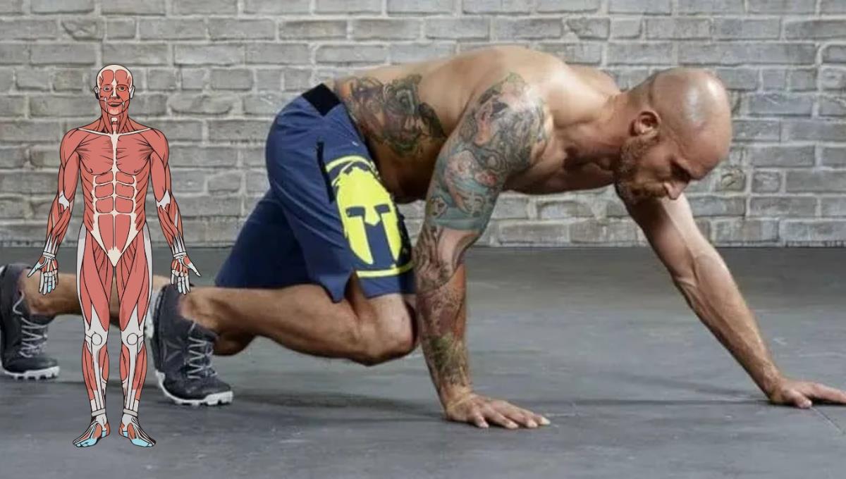 Postura de oso: el ejercicio que trabaja varios grupos musculares a la vez